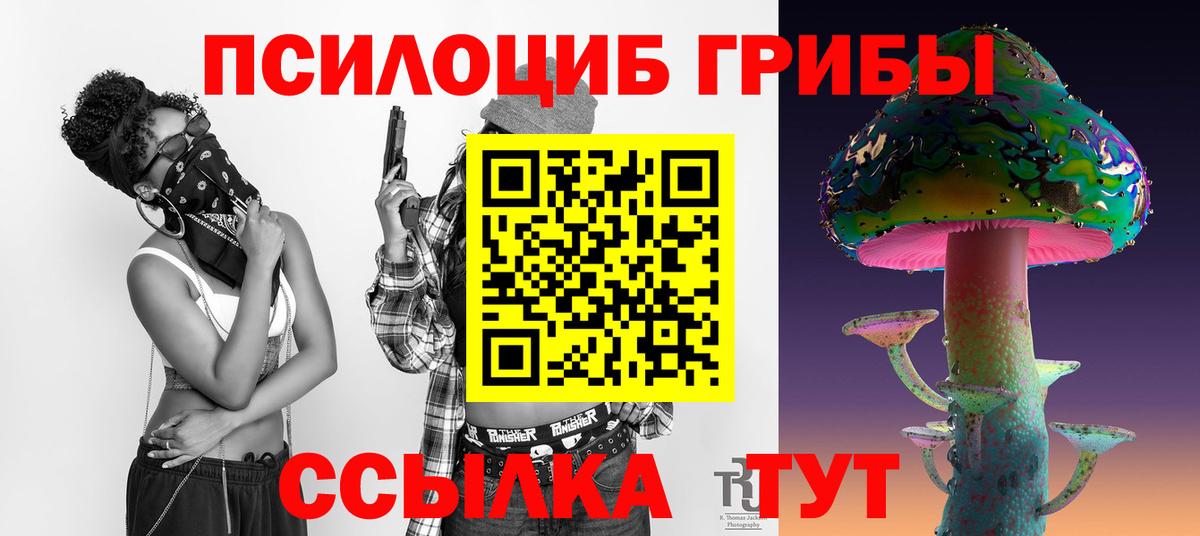 Псилоцибиновые грибы мицелий Нижнекамск