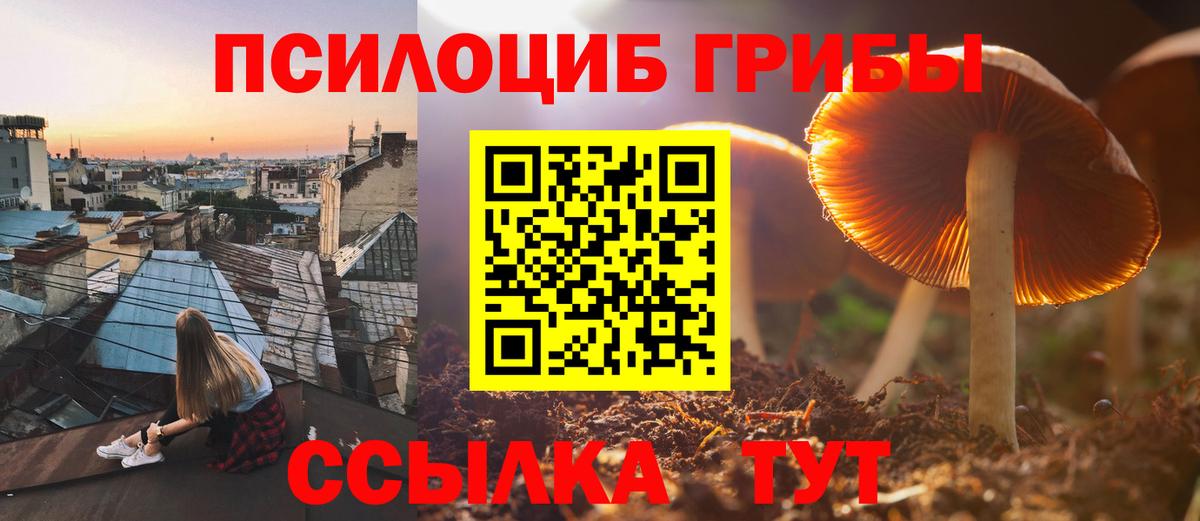 Псилоцибиновые грибы GOLDEN TEACHER  Вход с VPN  Нижнекамск 